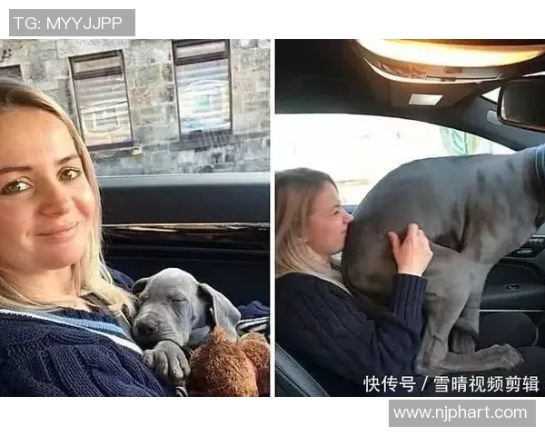 足球明星与可爱狗狗的温馨瞬间分享与回忆